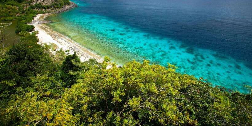 Apo Island Wonders: Snorkel with Sea Turtles in Dumaguete - Coral, fish, and responsible time in the water