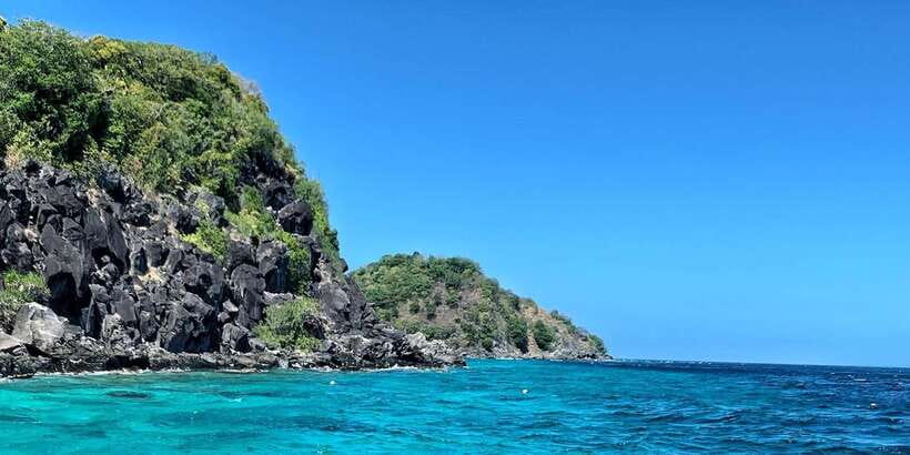Apo Island Wonders: Snorkel with Sea Turtles in Dumaguete - Booking advice and final call