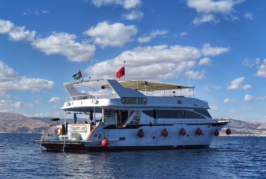 Aqaba: Red Sea Snorkeling Boat Trip with Buffet Lunch - What You Can See Beneath the Surface