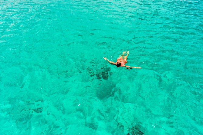 Aruba Afternoon Snorkel Sail aboard Palm Pleasure Catamaran - Who will enjoy Palm Pleasure most