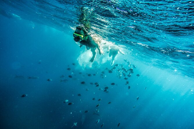 Aruba Afternoon Snorkel Sail aboard Palm Pleasure Catamaran - What the three-hour route feels like