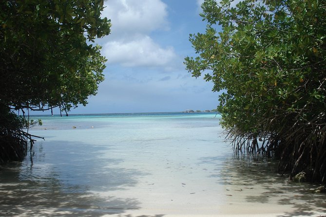 Aruba Mangel Halto and Baby Beach Snorkeling Guided Tour - The open-air bus is part of the experience