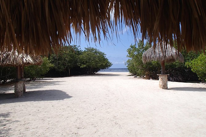 Aruba Mangel Halto and Baby Beach Snorkeling Guided Tour - Snorkel equipment and what to pack