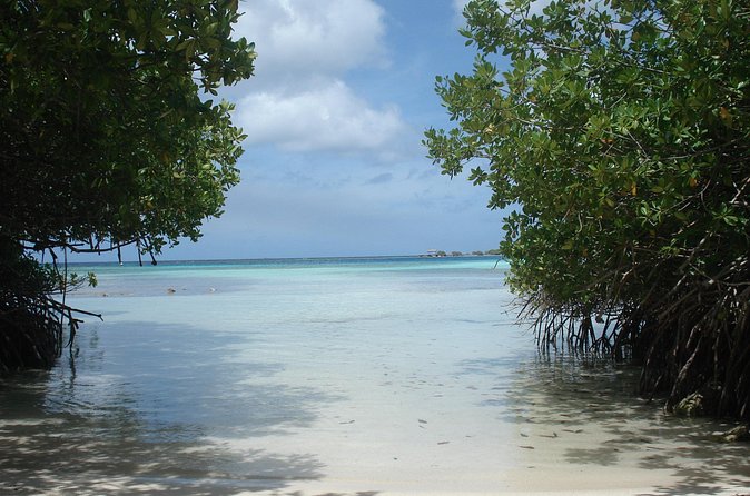 Aruba Mangel Halto and Baby Beach Snorkeling Guided Tour - What the $57 price really buys you