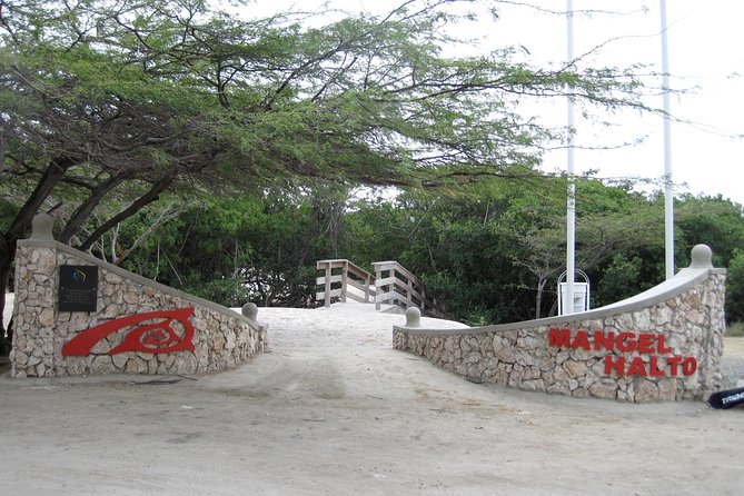 Aruba Mangel Halto and Baby Beach Snorkeling Guided Tour - Who will enjoy this beach tour most