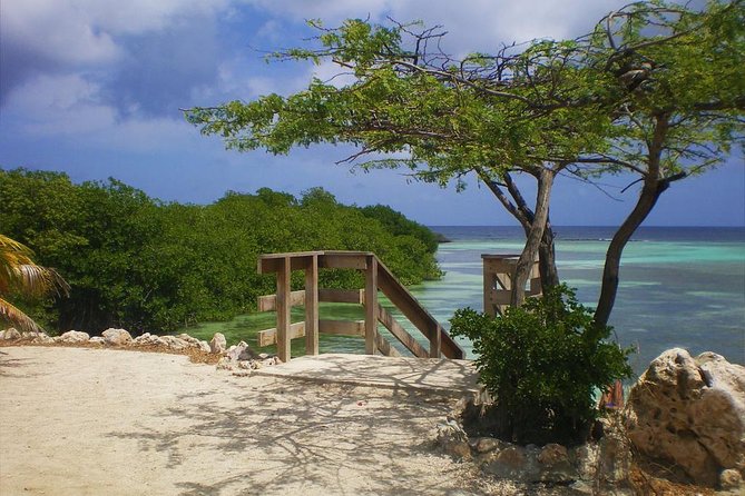 Aruba Mangel Halto and Baby Beach Snorkeling Guided Tour - Mangel Halto: mangroves, shallow water, and rough footing