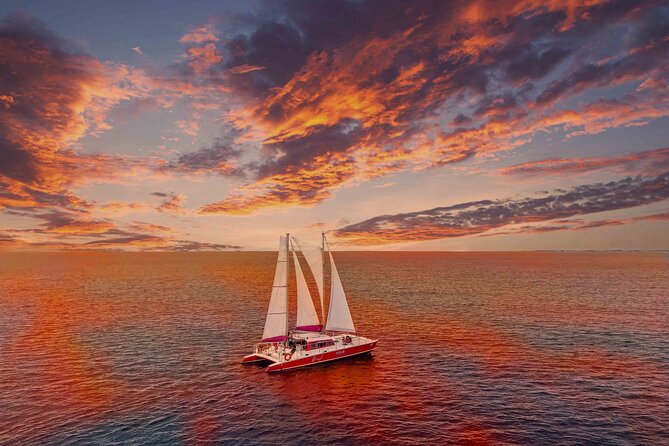 Aruba Morning Snorkeling or Sunset Sail to Boca Catalina With BBQ - Key points to know before booking