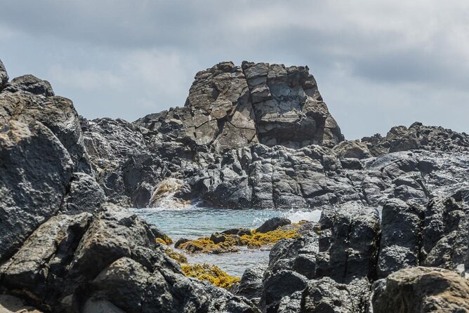 Aruba National Park Tour with Natural Pool & Baby Beach Snorkel - Why this half-day tour works so well