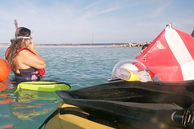 Aruba Snorkeling Tour: Mangel Halto and Baby Beach - Mangel Halto sets the tone