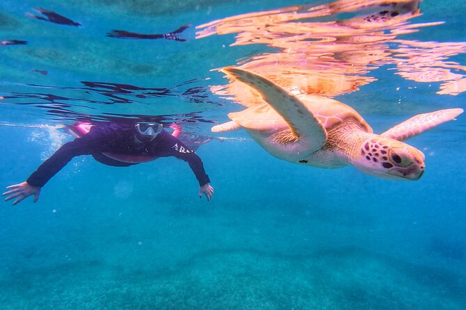 Aruba Turtle Spotting Snorkeling Adventure - Looking for turtles around Tres Trapi