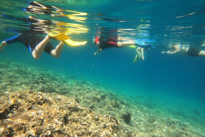 Athens, Nea Makri: Guided Small Group Snorkeling Boat Excursion - Dispa Island and the appeal of a small boat