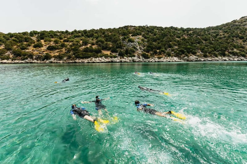 Athens, Nea Makri: Guided Small Group Snorkeling Boat Trip - Price and what you receive for $100