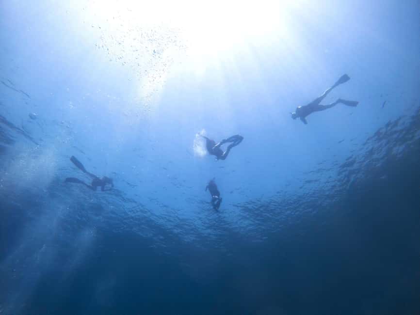Athens: Snorkeling Riviera Adventure - Getting Comfortable in Mask, Fins, and Wetsuit