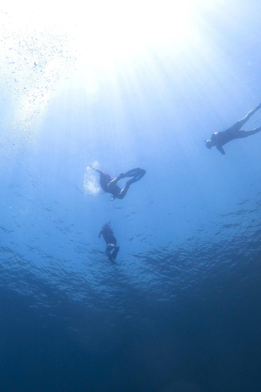 Athens: Snorkeling Riviera Adventure - Who Should Book This Athens Snorkeling Trip?