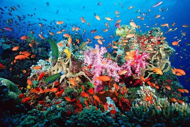 ATV Adventure Combo with Snorkeling, Ziplines, Cenote, and Lunch - Puerto Morelos reef snorkeling comes first, sometimes