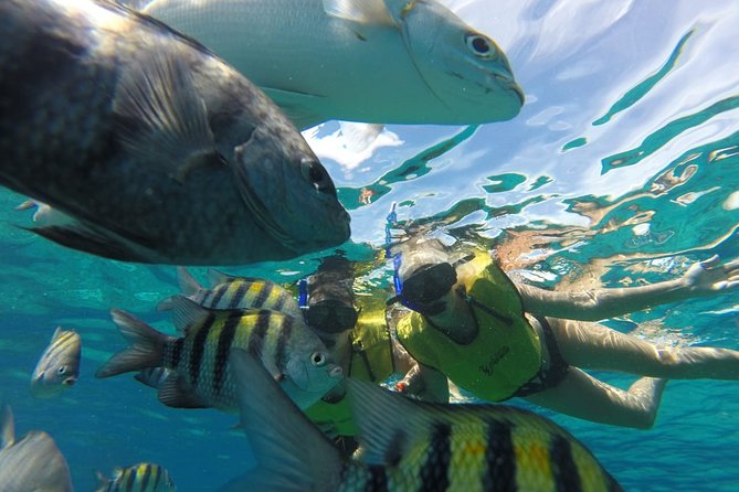 ATV Mud Kicking and Snorkeling by Boat in Cozumel - El Cedral, caves, and the island’s inland side