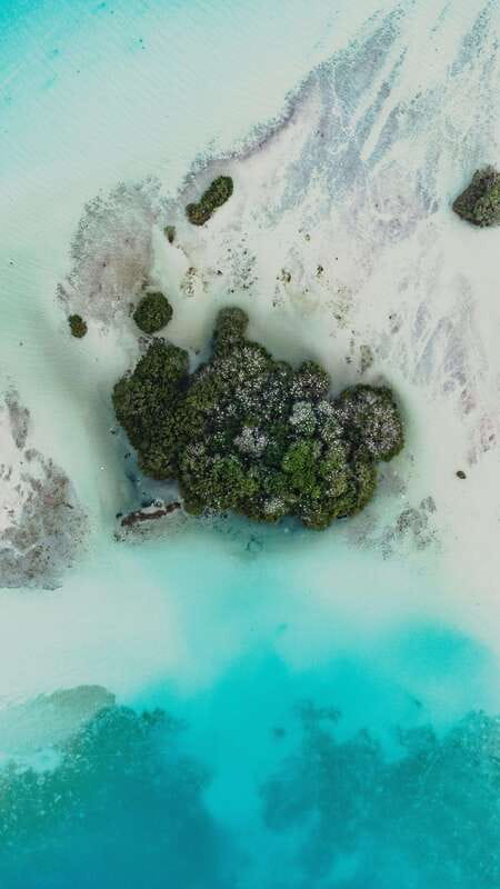 Bacalar & Cenotes: 3 hours kayak rental with snorkeling gear - What happens at the meeting point
