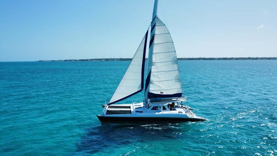 Bahamas: Swimming Pigs & Snorkeling Cruise with Lunch & Rum - Swimming with the Rose Island pigs