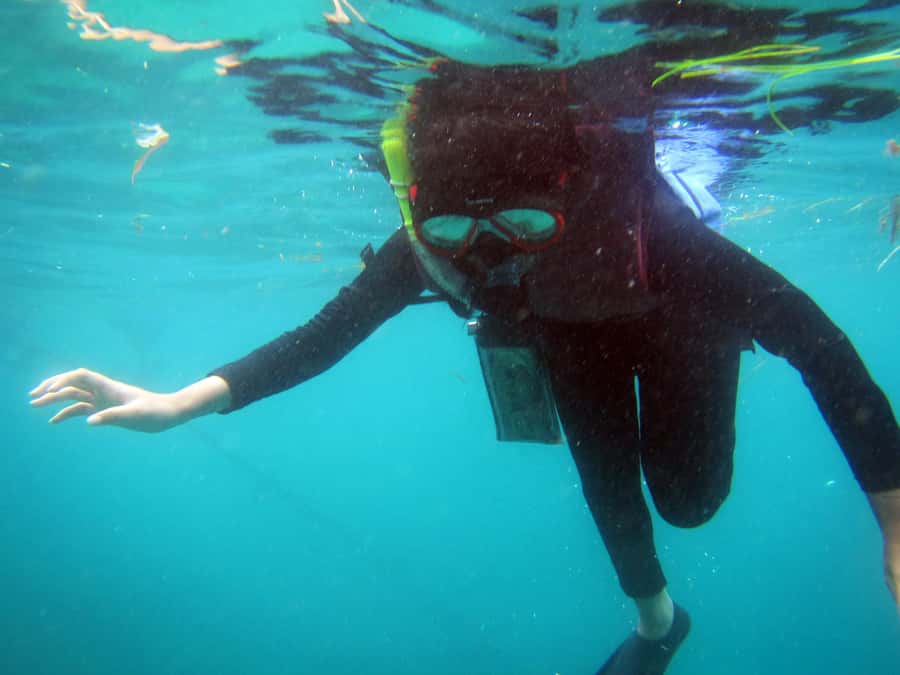 Bali: 1 Hour Snorkeling at Nusa Dua Beach - Key Points to Know Before You Book