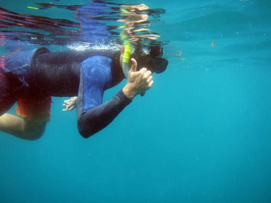 Bali: 1 Hour Snorkeling at Nusa Dua Beach - What the Nusa Dua Snorkeling Trip Is Really Like