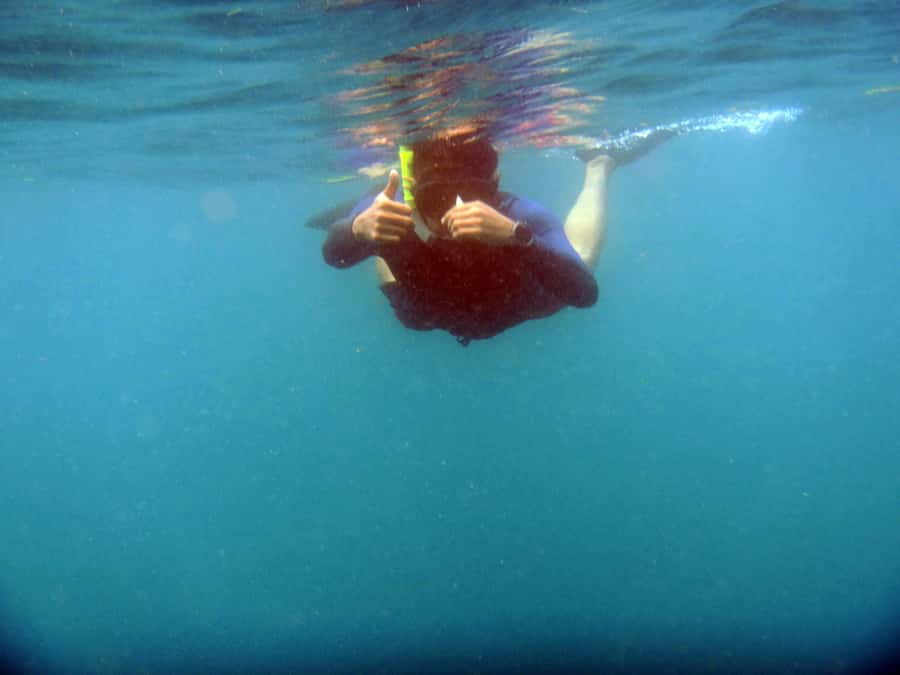 Bali: 1 Hour Snorkeling at Nusa Dua Beach - The Brief Safety Talk and Equipment Check
