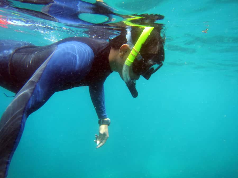 Bali: 1 Hour Snorkeling at Nusa Dua Beach - Who Should Book This Experience