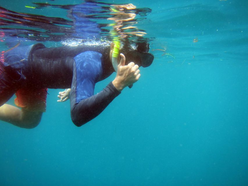 Bali: 1 Hour Snorkeling at Nusa Dua Beach - How This Compares With a Full Snorkeling Day