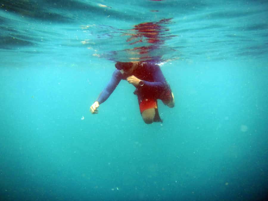 Bali: 1 Hour Snorkeling at Nusa Dua Beach - Meeting Mr Agung at Bayu Suta Water Sport