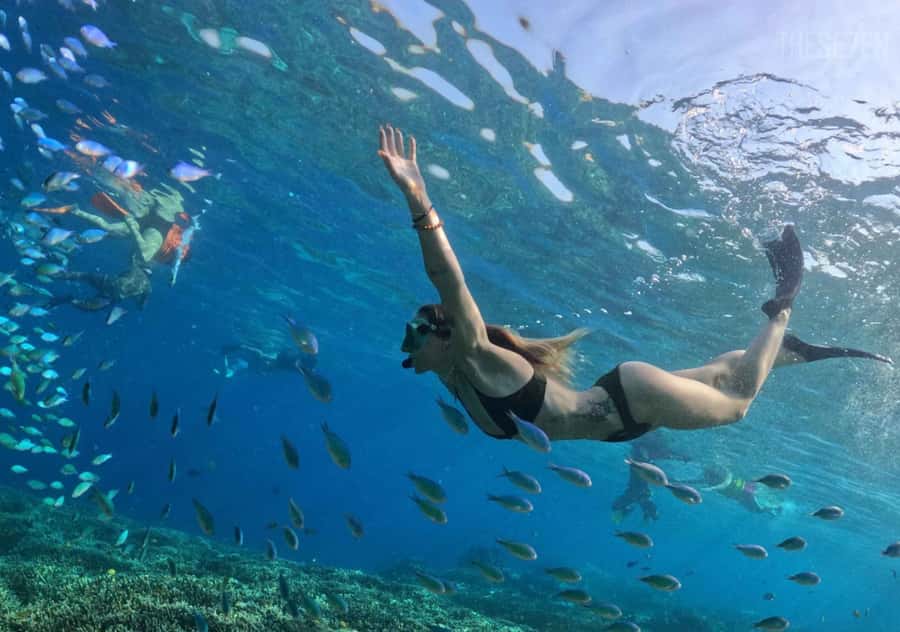 Bali: 3-Day Private Gili Islands Snorkel Tour with Hotel - Arriving by cidomo on Gili Trawangan