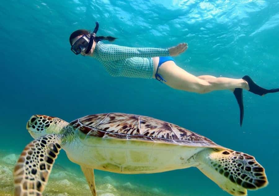 Bali: 3-Day Private Gili Islands Snorkel Tour with Hotel - From Trawangan to Gili Air