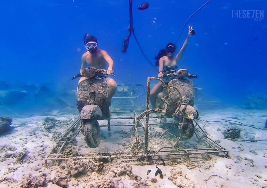 Bali: 3-Day Private Gili Islands Snorkel Tour with Hotel - What Standard and Premium really mean