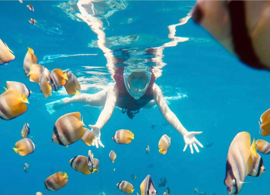Bali: Amed, Jemeluk & Lipah Beach Snorkeling Adventure - Fish and turtles are possible, not promised
