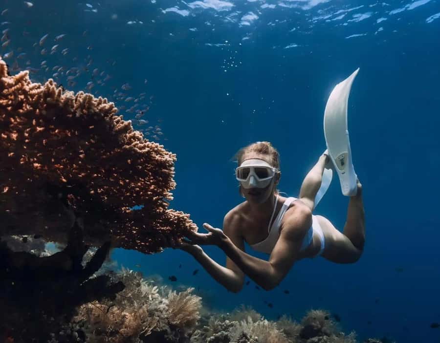 Bali: Amed, Jemeluk & Lipah Beach Snorkeling Adventure - Lipah Beach brings fish to an artificial reef