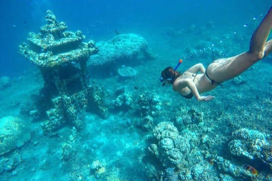 Bali/Amed: Underwater Temple Snorkeling Experience - Quick reasons to consider this Amed snorkeling trip
