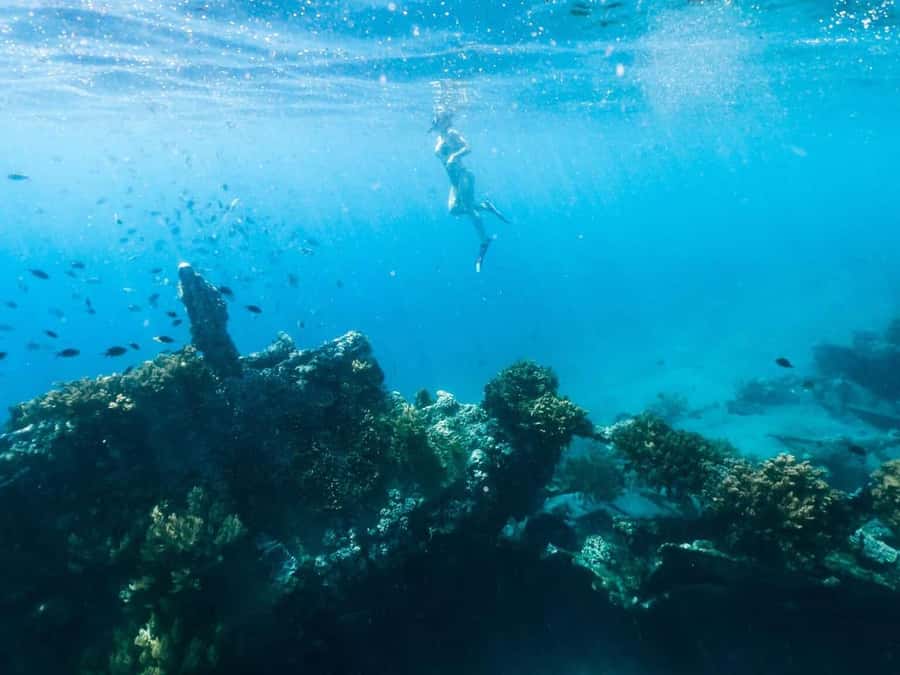 Bali/Amed: Underwater Temple Snorkeling Experience - What to bring and how to prepare