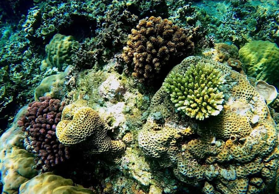 Bali/Amed: Underwater Temple Snorkeling Experience - The underwater temple at Jemeluk Bay