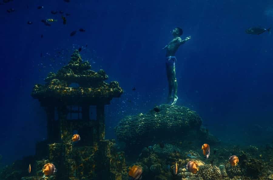 Bali/Amed: Underwater Temple Snorkeling Experience - What the guides add to the day