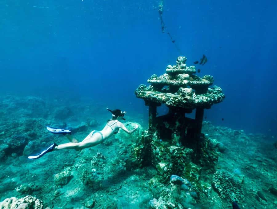 Bali/Amed: Underwater Temple Snorkeling Experience - Is $40 a good value?