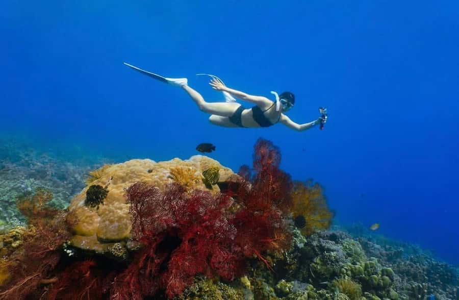 Bali/Amed: Underwater Temple Snorkeling Experience - The WWII Japanese Shipwreck