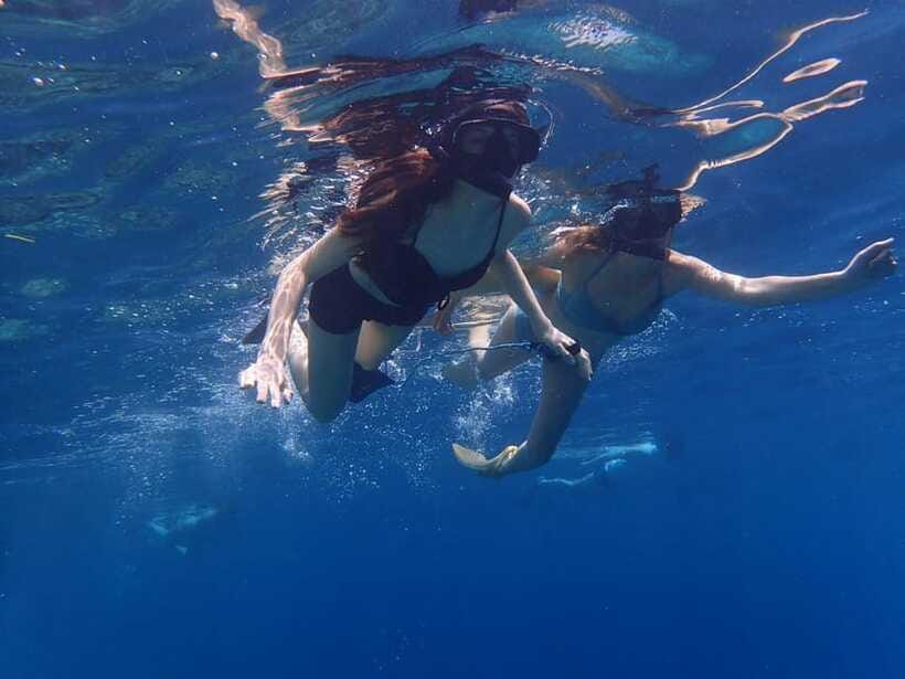 Bali: Basic Snorkeling at Menjangan Island - Who will enjoy this outing most