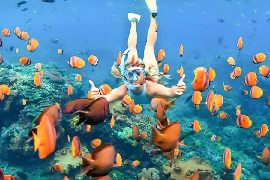Bali: Blue Lagoon Beach Snorkeling Tour with Lunch - Key points to know before booking