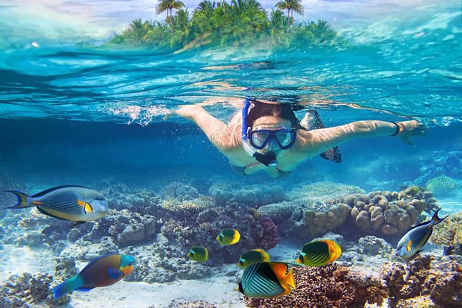 Bali: Blue Lagoon Beach Snorkeling Tour with Lunch - Two reefs, one traditional boat ride