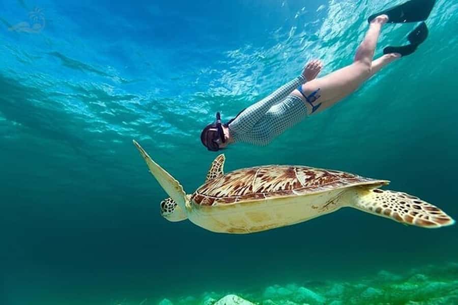 Bali: Blue Lagoon Beach Snorkeling Tour with Lunch - Why this works for first-time snorkelers