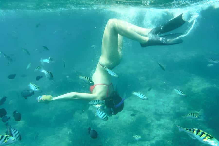 Bali: Blue Lagoon Beach Snorkeling Tour with Lunch - Shared transport or a private day?