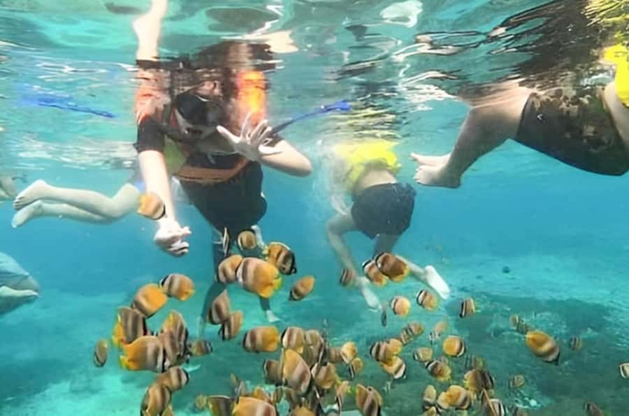 Bali: Blue Lagoon Beach Snorkeling Tour with Lunch - The optional Ubud and waterfall add-ons