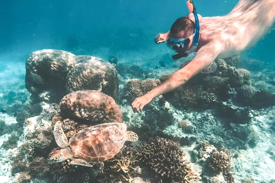 Bali: Blue Lagoon Beach Snorkeling Tour with Lunch - What you may see below the surface