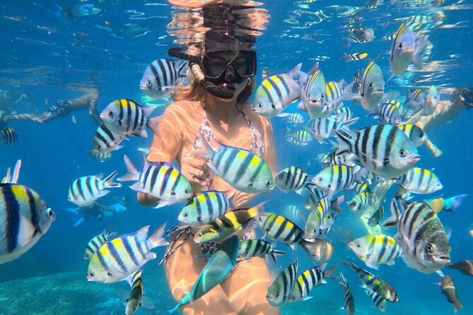 Bali Blue Lagoon Snorkeling - Lunch and Transport All Inclusive - Key points to know before you book