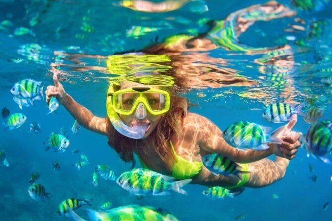 Bali Blue Lagoon Snorkeling - Lunch and Transport All Inclusive - Blue Lagoon gives you the strongest part of the day