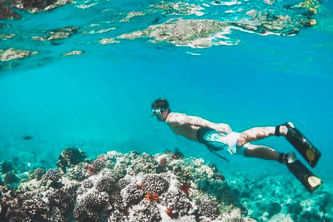Bali Blue Lagoon Snorkeling - Lunch and Transport All Inclusive - Coffee tasting gives the road trip a local stop