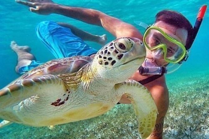 Bali Blue Lagoon Snorkeling - Lunch and Transport All Inclusive - Your driver shapes the whole day